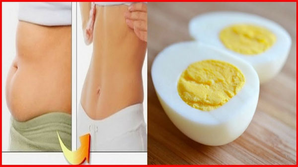 Conheça a Dieta do Ovo
